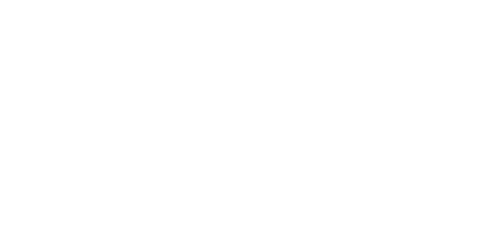 logo cocoonest